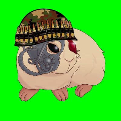 GPC_WarPig Profile Picture