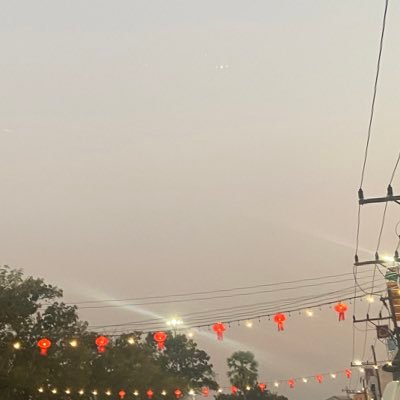 so_ferch81501's profile picture. 