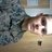 TysonYancey's profile image