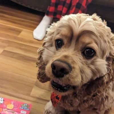 ActualNameAgent's profile picture. 