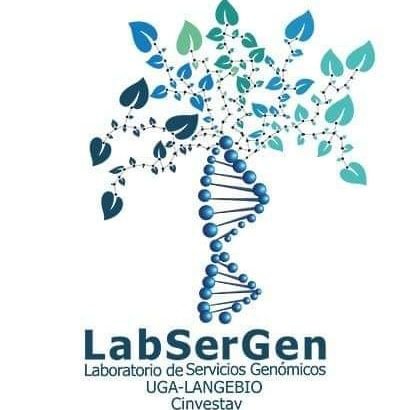El Laboratorio de Servicios Genómicos del LANGEBIO, da apoyo a la investigación científica relativa a la Genómica, Transcriptómica y Genotipado.