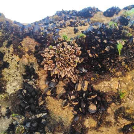 Boukhalil_G_B_L's profile picture. 