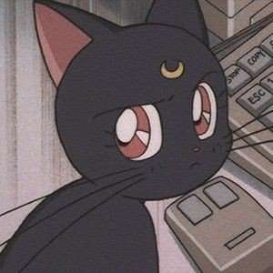 jini444_2's profile picture. 20↑