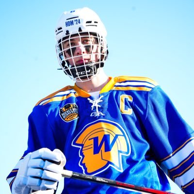 Wayzata hockey