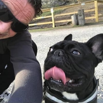 den Franska Bulldoggens betjänt 2015.10.14-2025.07.09 💕