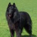 An Sagart Dubh๐ฎ๐ช๐ต๐ธ (@seoirseog) Twitter profile photo An Sagart Dubh๐ฎ๐ช๐ต๐ธ (@seoirseog) Twitter profile photo
