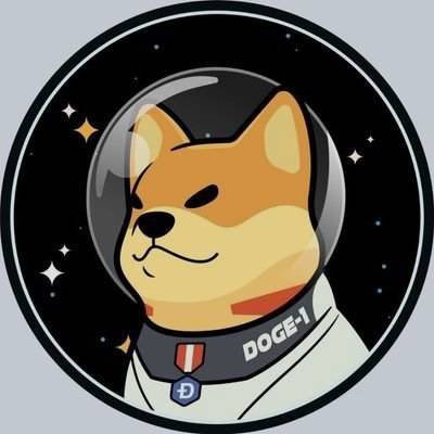 Comunidad oficial de Doge1 Satellite Protocol en México. Noticias, Updates, Precios, Q&A