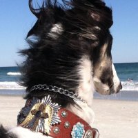 Kyu (@yoikle) 's Twitter Profile Photo