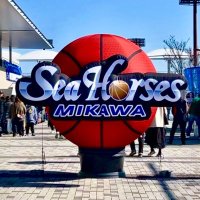 えぬまる🏀 (@nmaru86) 's Twitter Profile Photo