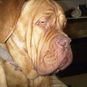 kerrie matthews - @kmatt60 - Twitter