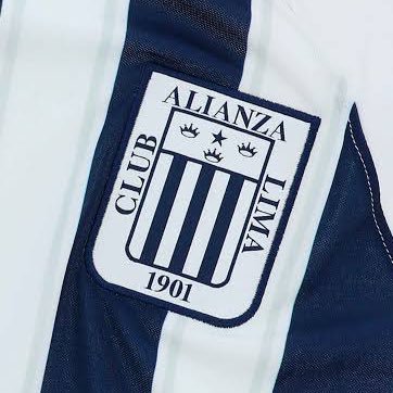 SantiagoCrosb11's profile picture. hincha del más campeón y popvlar 💙🤍💙 63🏆