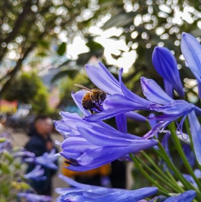 Ferney_naranjo1's profile picture. 