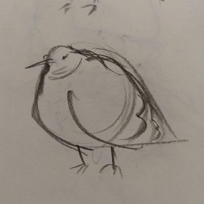 • 3D Animator • Pro Pigeon appreciator • Bread enthusiast • He/Him •