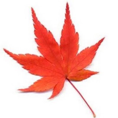 momizi67021's profile picture. UEC25 Ⅱ類 5クラ、ワンゲル、VLL