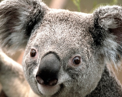 jhcho1212's profile picture. 자기 자신을 위한 정치가아닌 국민을 위한 정치인을 바라고 있음