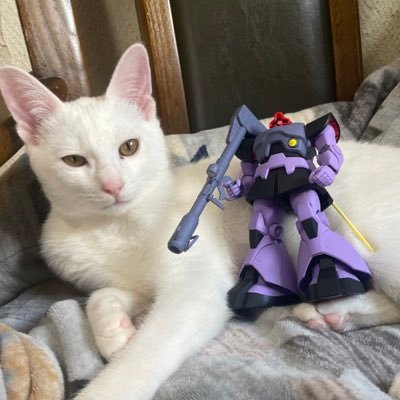 ガンダムと猫とモンハンnow / 福岡の24歳社会人 / 基本ガンプラはつや消し簡単仕上げ  /  配信アプリspoonで制作雑談してます。Instagram☞ https://t.co/cNjaPLda42