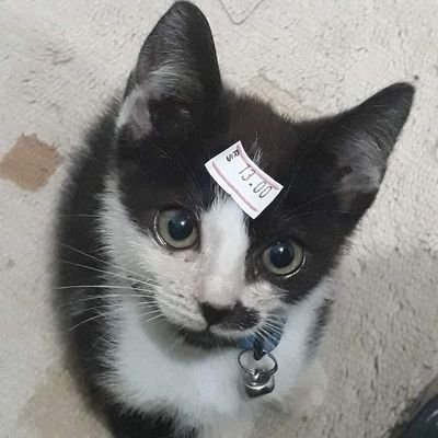 hansnie69's profile picture. 