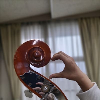 チューバとコンバス
多分学生
無言フォロー失礼します