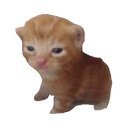 wanderscutely's profile picture. 