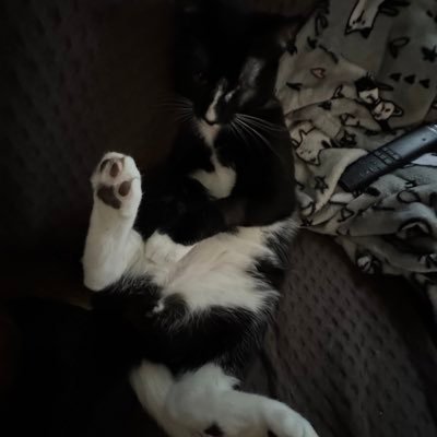 emmas_1342's profile picture. 