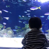 Rulu (@rulu_world) Twitter profile photo