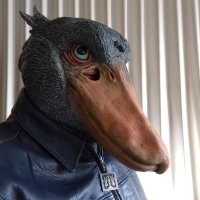 Kou Hasibiro (@paisyuu) 's Twitter Profile Photo Kou Hasibiro (@paisyuu) 's Twitter Profile Photo