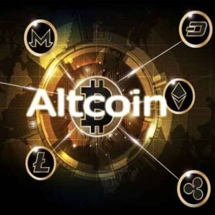 AltExpidition's profile picture. Trader. Investor. altcoins hunter. #Binance #Kucoin #Crypto