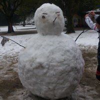 あゆむ (@totsu_kalesco) 's Twitter Profile Photo