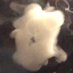 Cantseeme (@imaghostfrboo) Twitter profile photo Cantseeme (@imaghostfrboo) Twitter profile photo