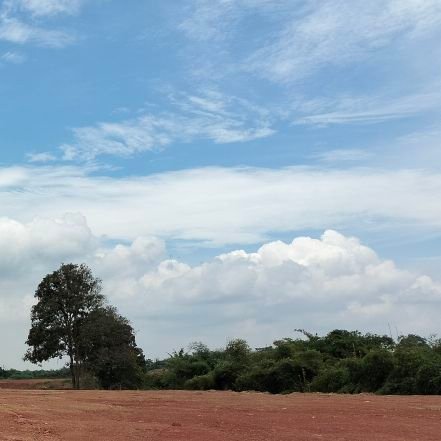 nomadenpeps_'s profile picture. 