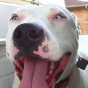 Joshua Stapp - @StappJosh - Twitter