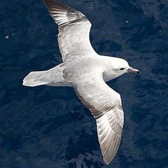 Science matters, save the southern oceans, act now with vision & purpose on climate to make the enduring change for our children. Nicolas Baudin Fan!