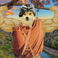 AppalchianDoge (@appalachiandoge) 's Twitter Profile