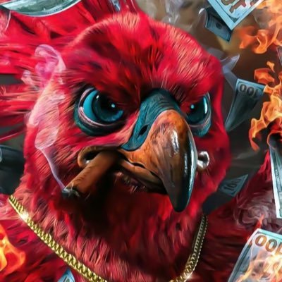 VesMalz's profile picture. 