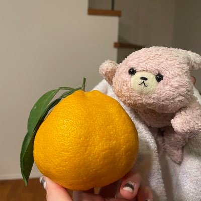 norigoro's profile picture. 藤岡正明さんを応援しています🎵 「CFY」「ACL」「WSS」「JB」「ミス・サイゴン」「ビリー・エリオット」　最高の作品たち✨劇団四季🍀映画、アビスパ福岡、プロジェクトランウェイ、バス旅、綺麗な鳥、かわいい犬、似顔絵少し、ドラえもんとトムジェリ影響大、だし巻き卵、カレー、麻婆豆腐、🦀好いとう💕