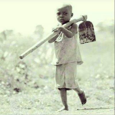 KisapiJulian's profile picture. 