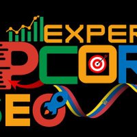 Experto SEO Ecuador Agencia Posicionamiento Web(@Seo_Web_Ecuador) 's Twitter Profile Photo