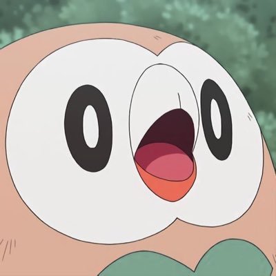 also known as mokuroh or bauz || posting all things about rowlet the perfectly round owl who can sleep everywhere