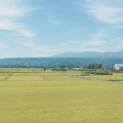 現代劇、歌舞伎、ミュージカルなど観劇が好き/推し:ジョビジョバ(長谷川朝晴さん)、TEAM NACS(安田顕さん)#CDJ2025、高麗屋(十代目松本幸四郎さん)/旅行、特にひとり旅が好き/無言フォロー失礼します