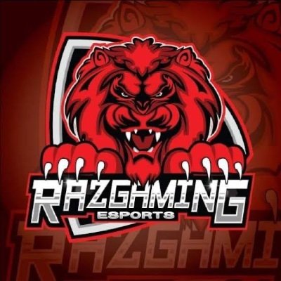 My name is Razgamer I do gaming content I love it ☺️
Age 18