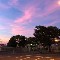 ゆうさん 🐘 (@szk_t_28) 's Twitter Profile
