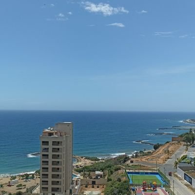 car_mf7's profile picture. Abogado (UCV)