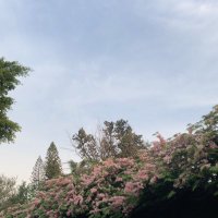 ر (@bloomasflower) 's Twitter Profile