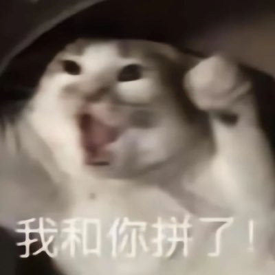 SaoryHaiBao's profile picture. 