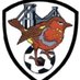 Football On This Day (@threelionsthen) Twitter profile photo Football On This Day (@threelionsthen) Twitter profile photo