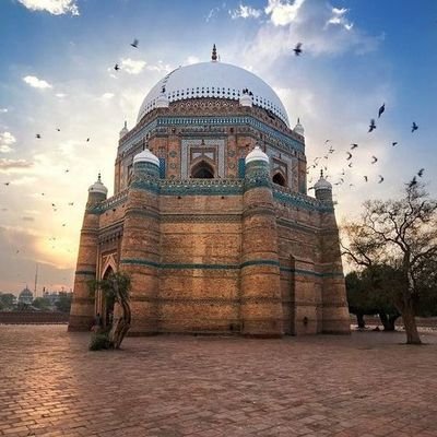 clearmind55's profile picture. i follow back 💯