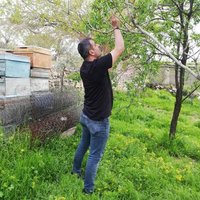 E.S.T MEHMET (@farat59628961) 's Twitter Profile Photo E.S.T MEHMET (@farat59628961) 's Twitter Profile Photo