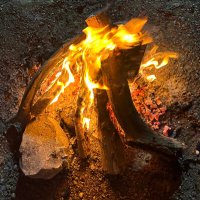 Ali💀 (@ali929d) 's Twitter Profile