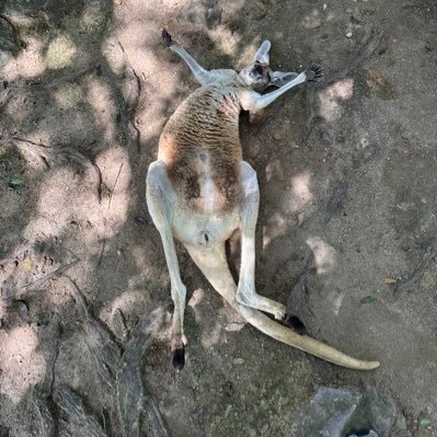 BoOldnNL9PY4nUW's profile picture. 