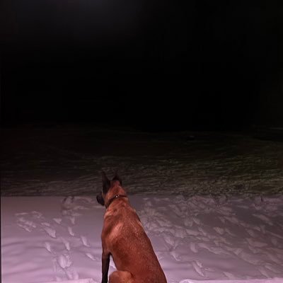 Ry Profile